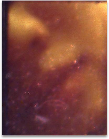 constellation1